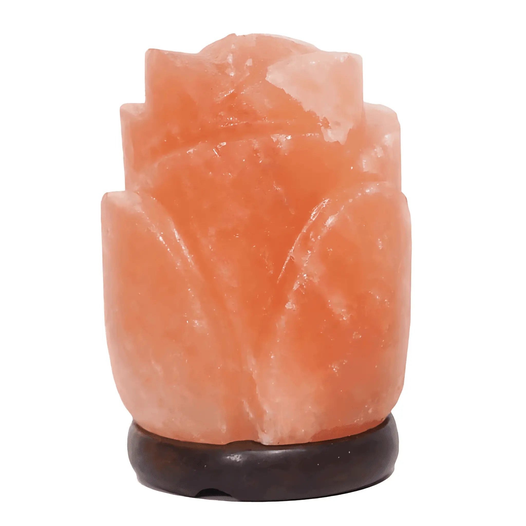 2-3kg Rose Salt Lamp – Timber Base (12v – 12w) Green