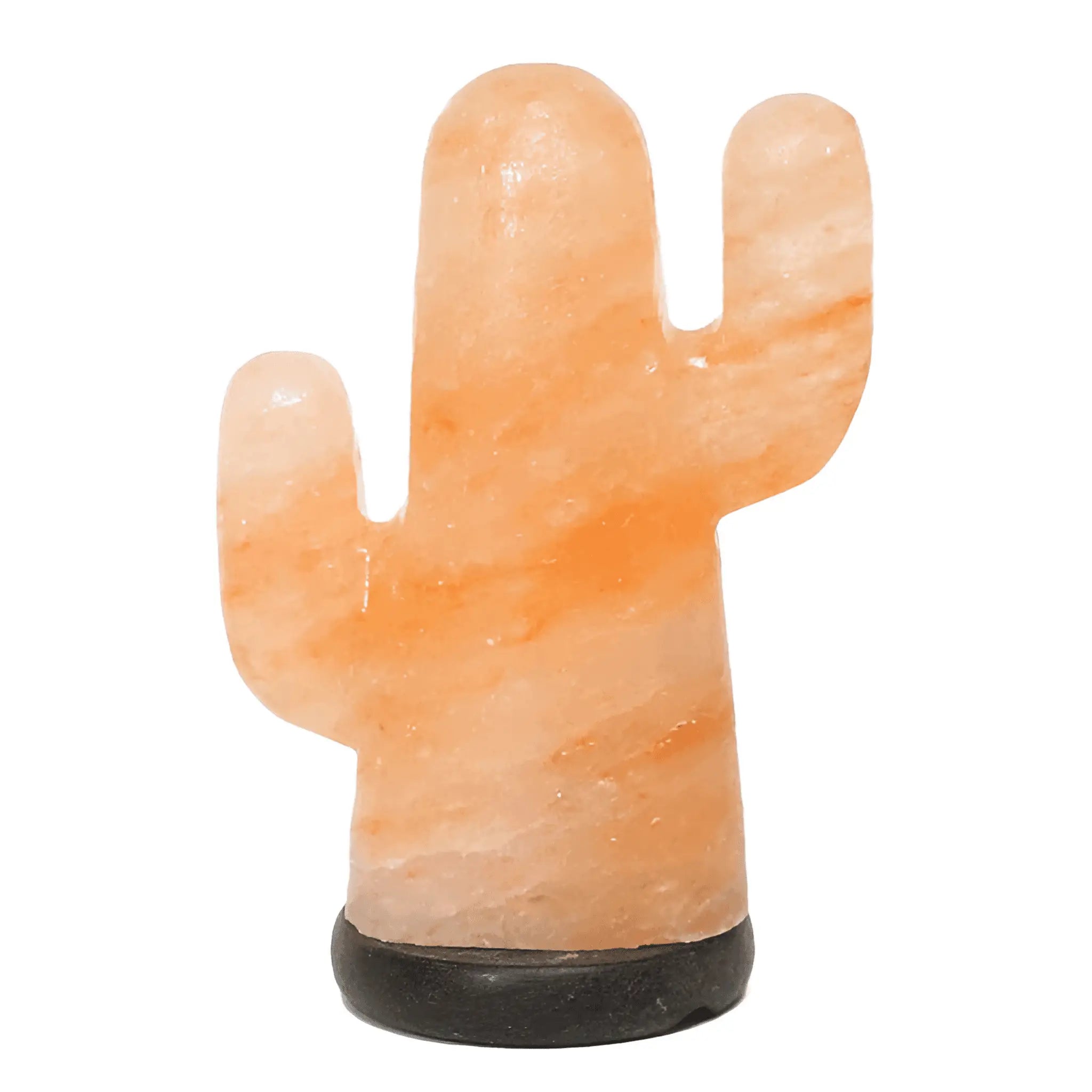 Cactus Salt Lamp (12v -12w) Green Earth Lighting