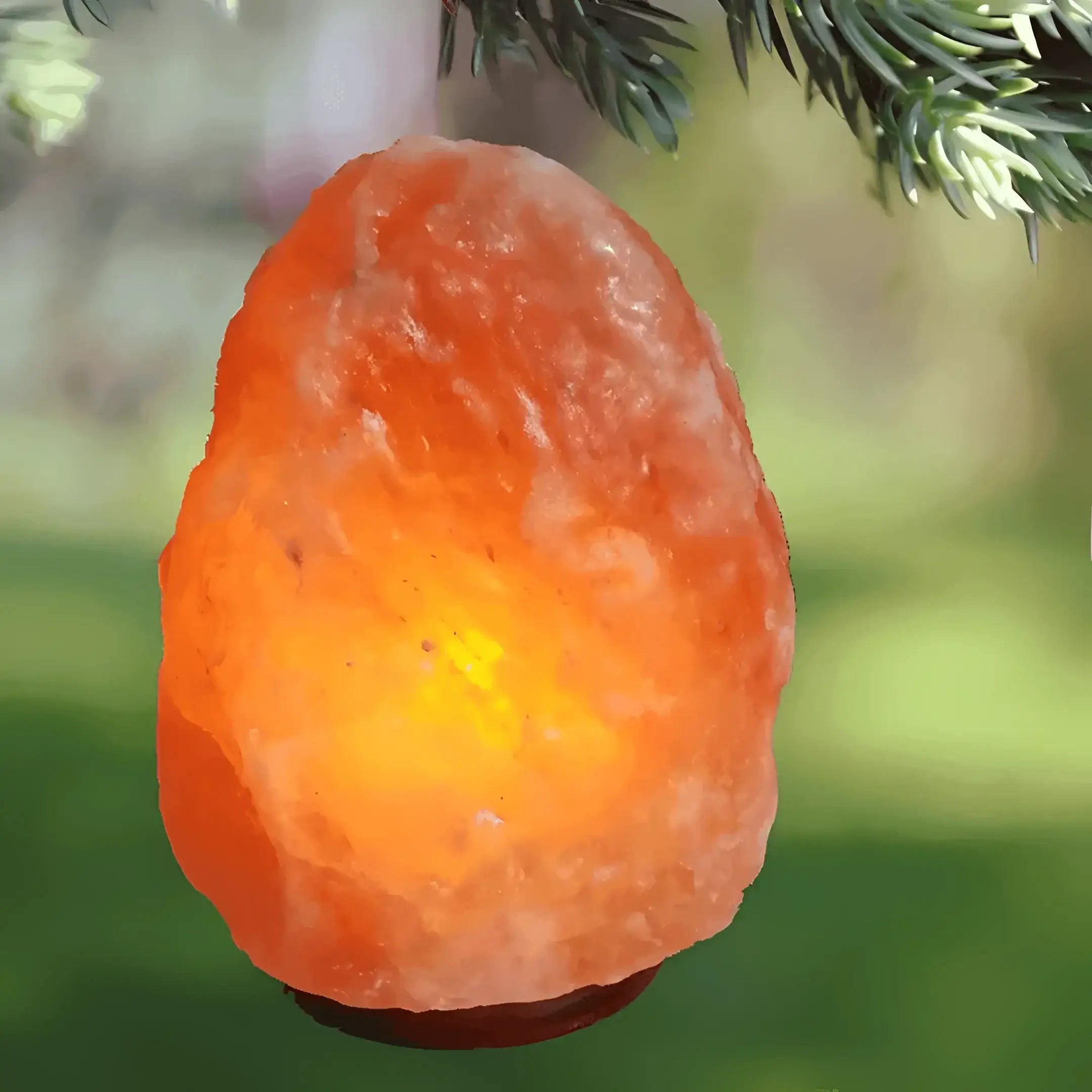Green Earth Lighting Australia Home & Garden > Lighting > Night Lights & Ambient Lighting 1-2kg Himalayan Salt Lamp on Timber Base | Twin Value Pack N623X2