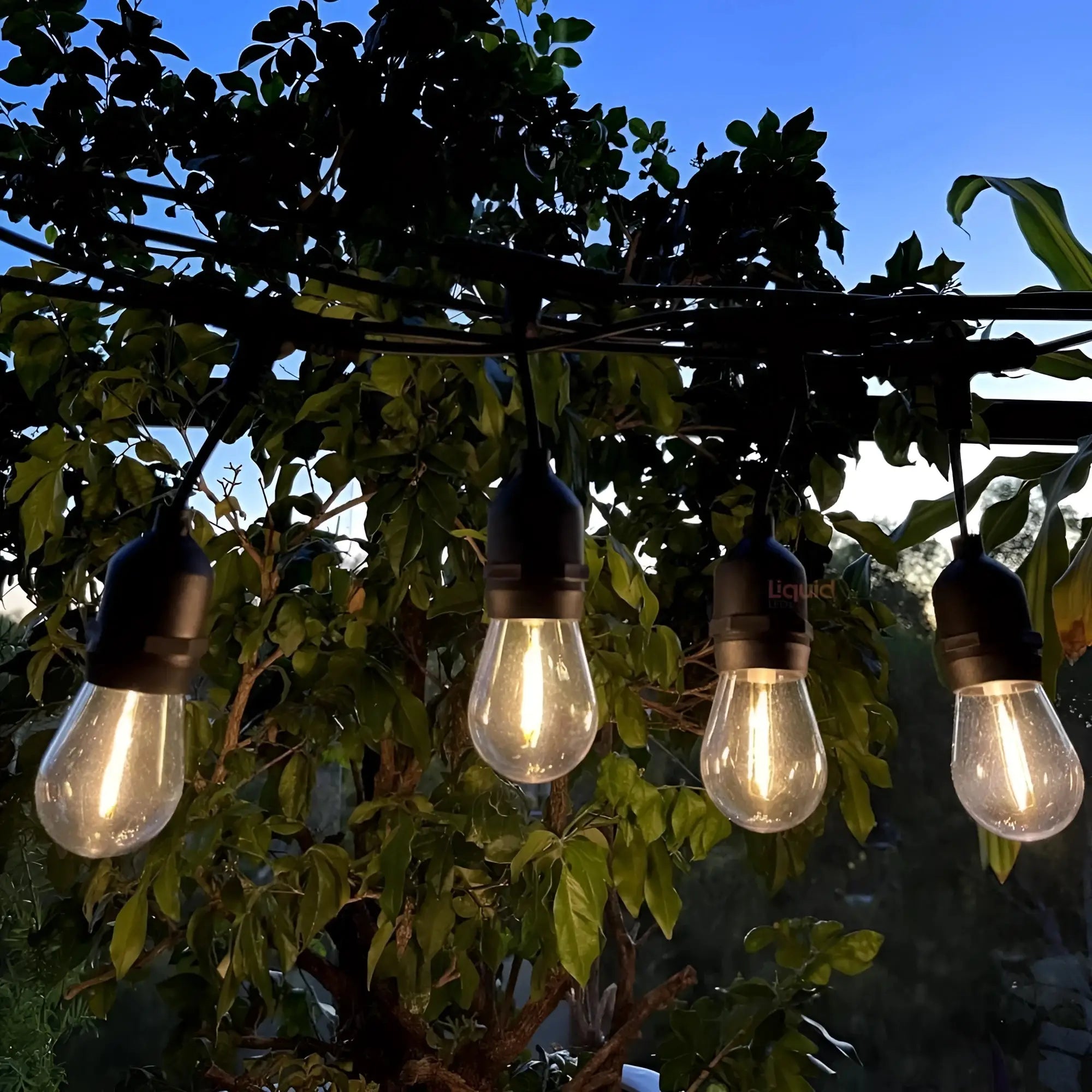 15 m solar festoon lights with black string, vintage clear glass LED bulbs