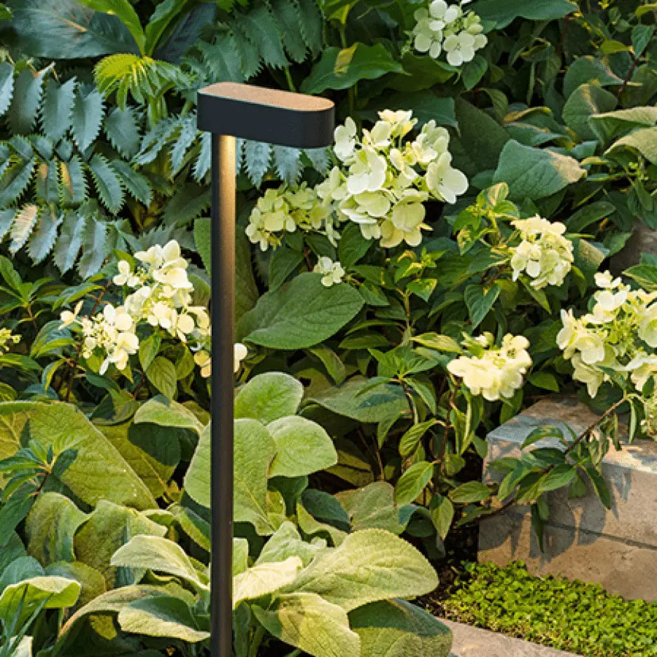 Green Earth Lighting Australia Garden PATHFINDER Matt Black 24V 5W 3000K LED Garden Path Spike PATHB3K
