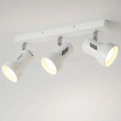 Profile 2 and 3 Light Classic R80 Spotlight Oriel