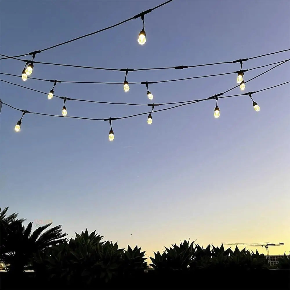 LiquidLEDs Lighting Festoon String 15 meter Smart Festoon String Lights with 15 LED Bulbs BF15B-SMART