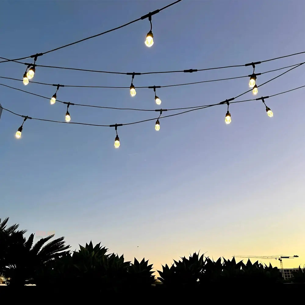 15m Smart Festoon String Lights with 15 LED Bulbs - LiquidLEDs™ - Festoon String