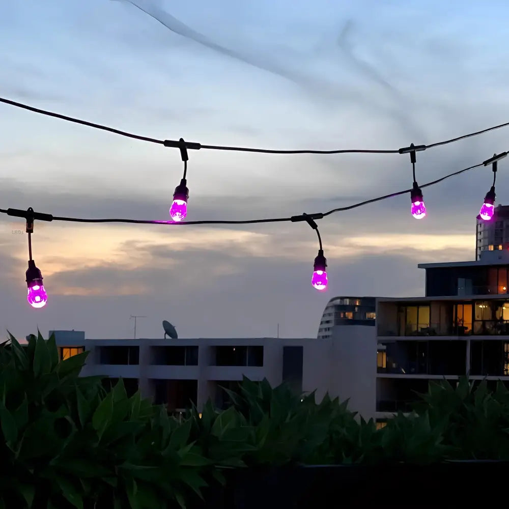 15m Smart Festoon String Lights with 15 LED Bulbs - LiquidLEDs™ - Festoon String