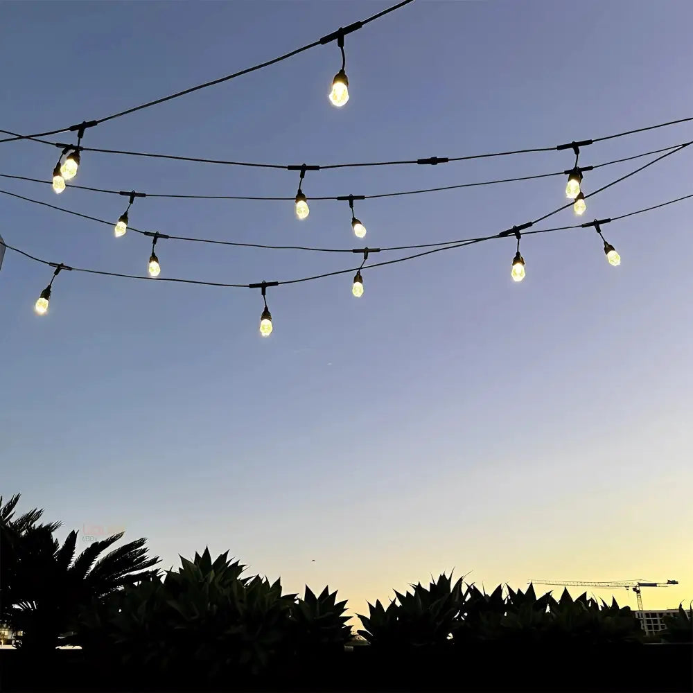 15m Smart Festoon String Lights with 15 LED Bulbs - LiquidLEDs™ - Festoon String