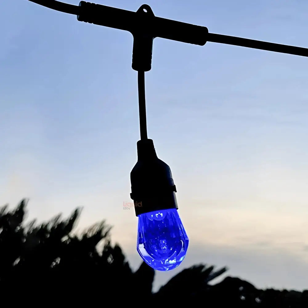 15m Smart Festoon String Lights with 15 LED Bulbs - LiquidLEDs™ - Festoon String