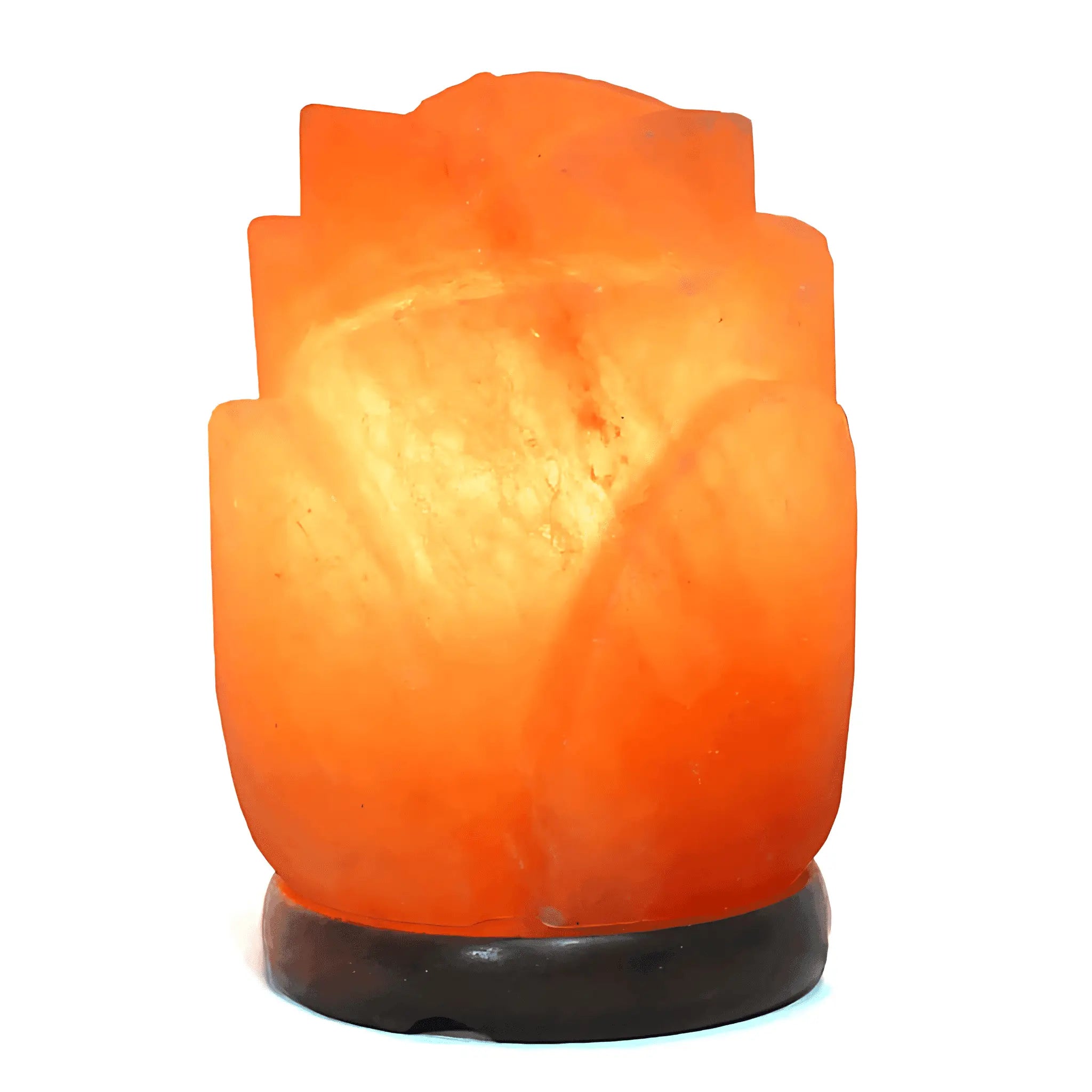 2-3kg Rose Salt Lamp – Timber Base (12v – 12w) Green