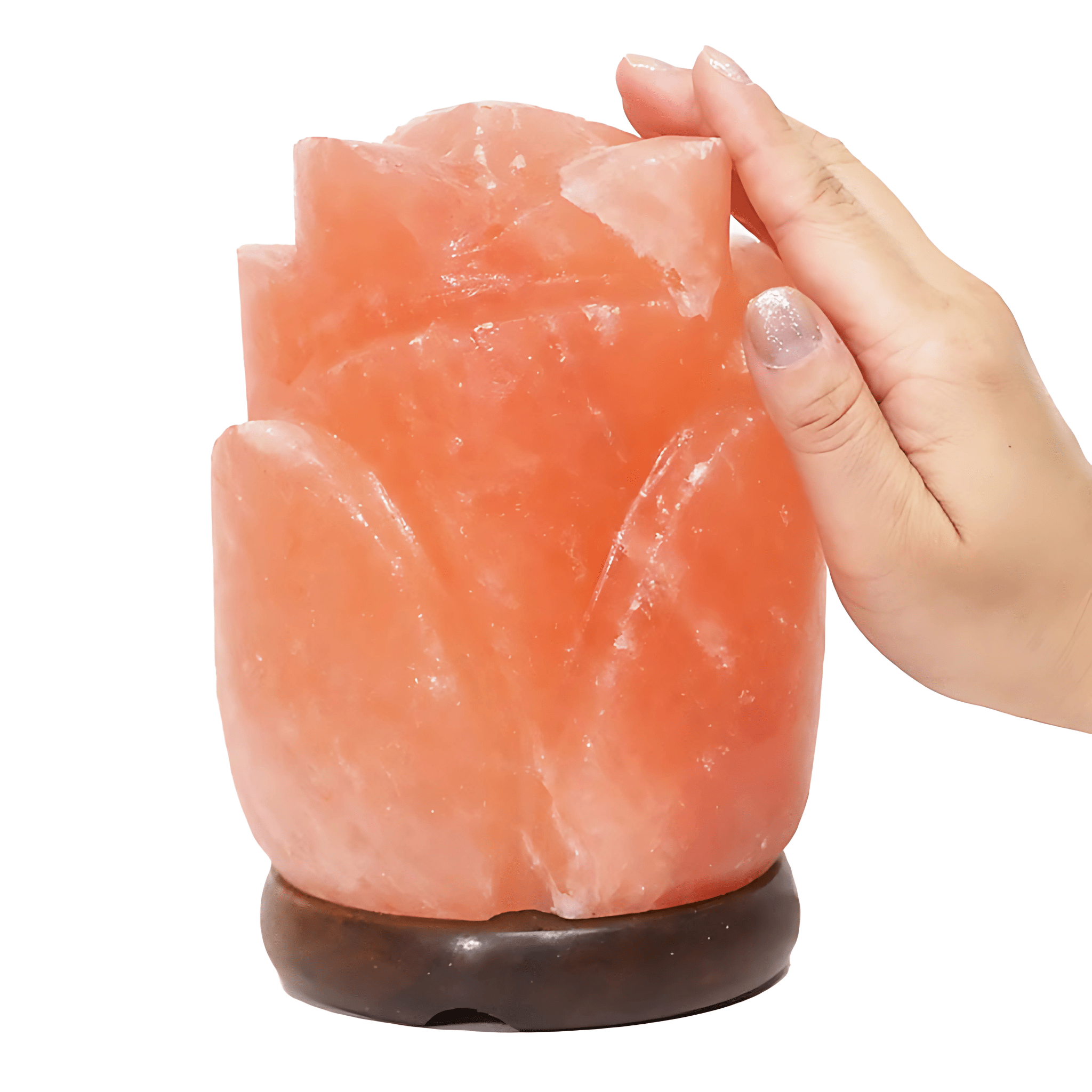 Green Earth Lighting Australia Home & Garden > Lighting > Night Lights & Ambient Lighting 2-3kg Rose Salt Lamp – Timber Base (12V – 12W) ROSE