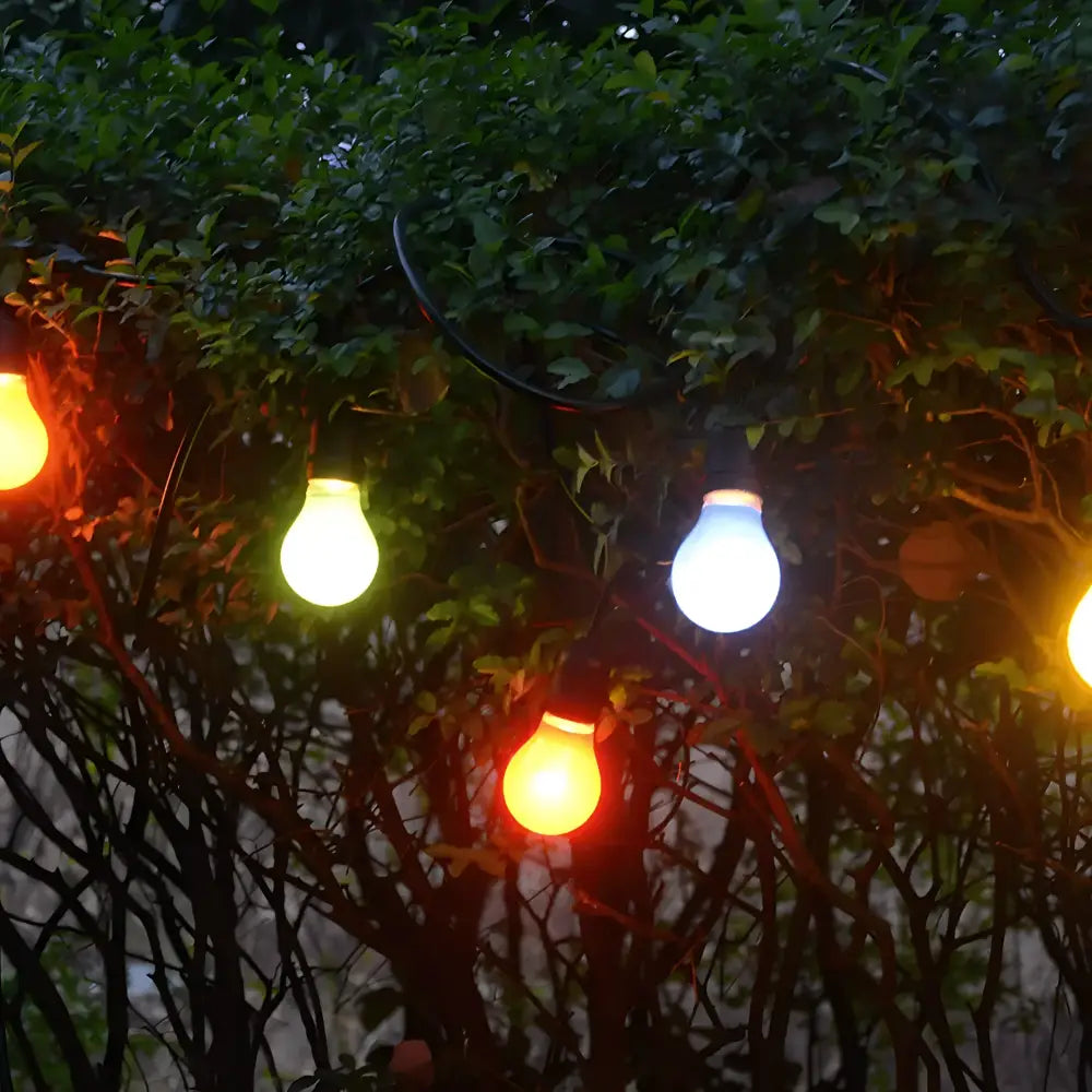 Green Earth Lighting Australia Outdoor 20 meter Black IP65 Festoon Kit (Free Globes included) 20MFESKITB