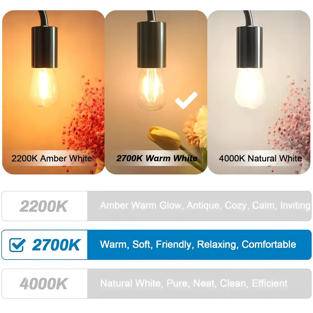 Green Earth Lighting Australia Edison Bulbs 2W 24Volt DC S14 Dimmable LED Light Bulb Warm White F127-S14-C-24V-22K