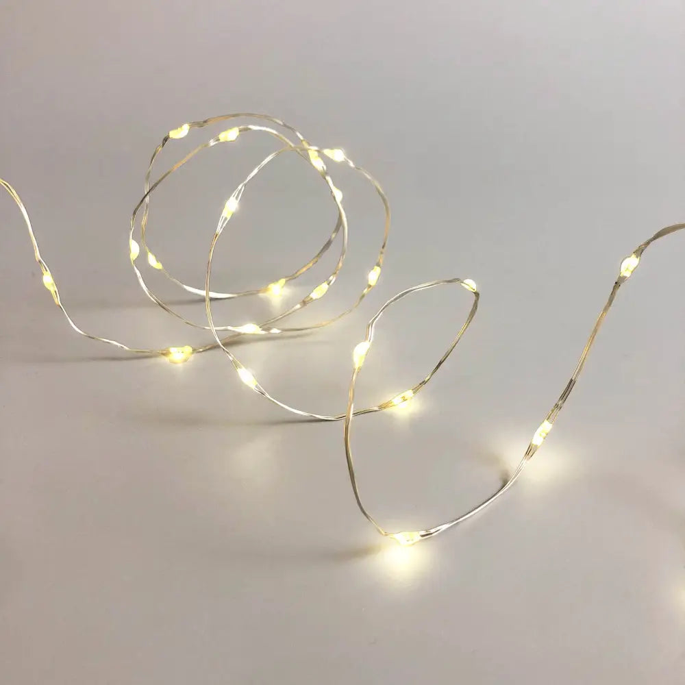 Lexi Lighting Micro Fairy Lights 1000 Dual Colour Micro LED String Light