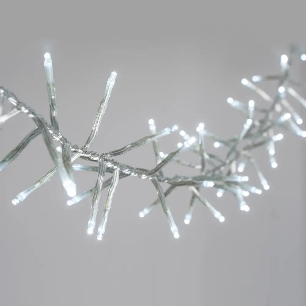 Lexi Lighting Cluster Light White 720 LED Cluster Light With Clear Cable -3 Colour Options