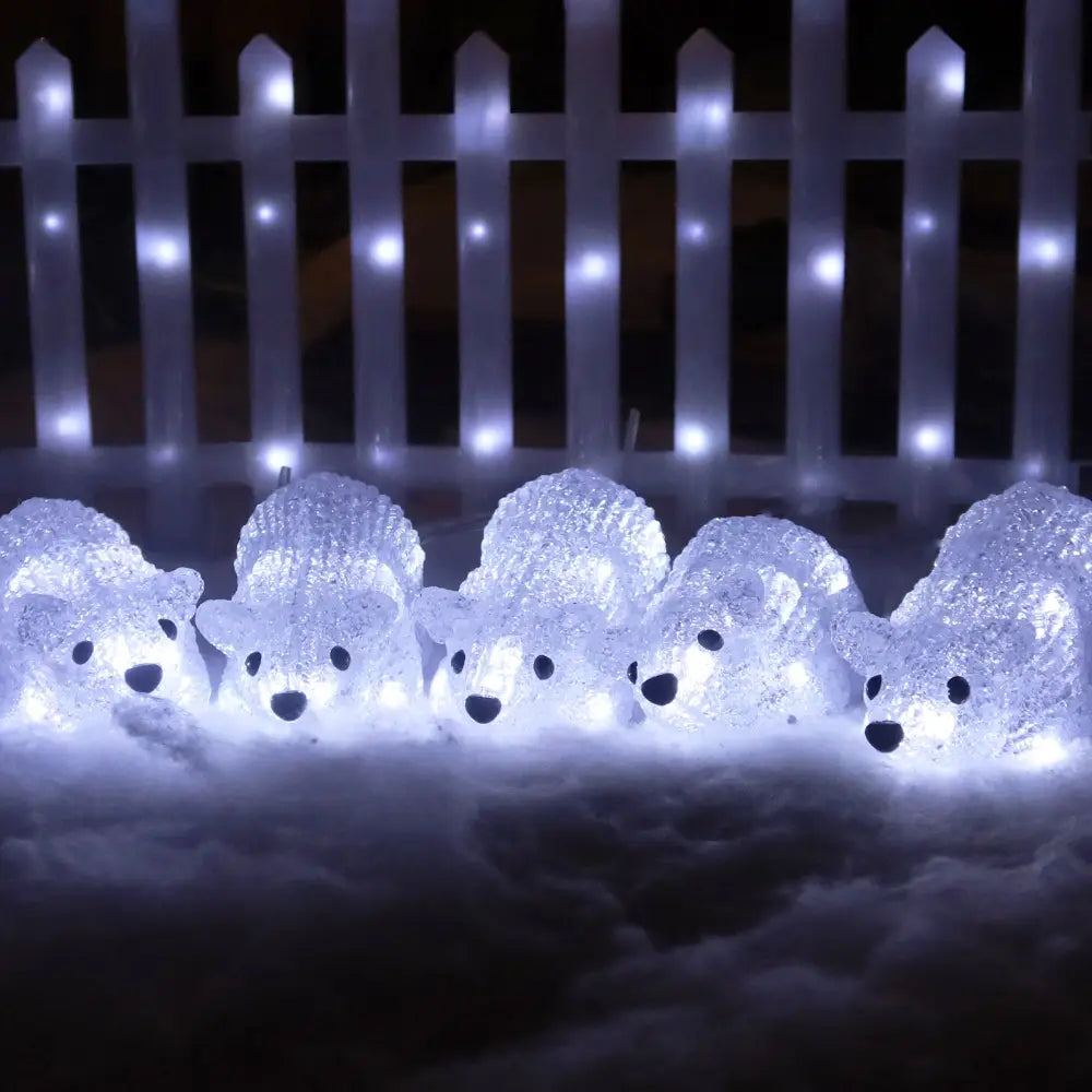 Acrylic Mini Rat-Set Of 5