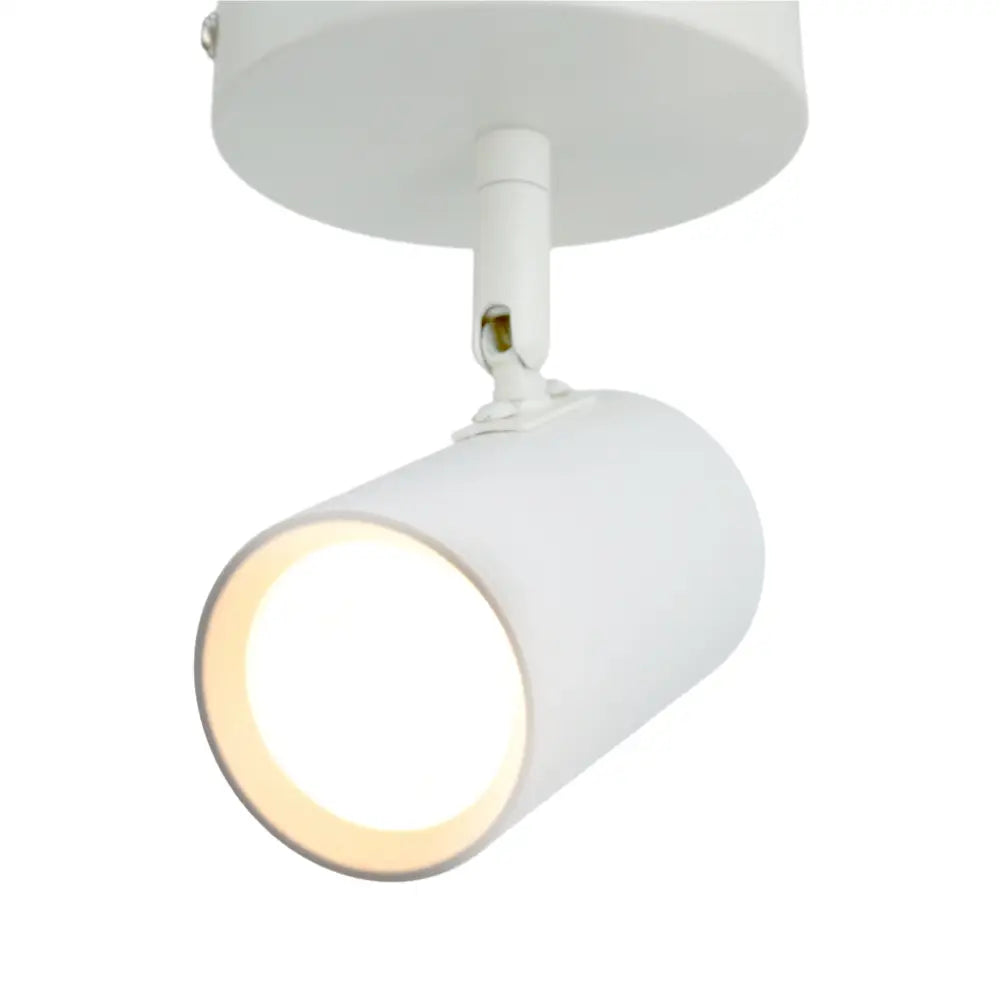 Lexi Brianna - 1 Light Spot Light