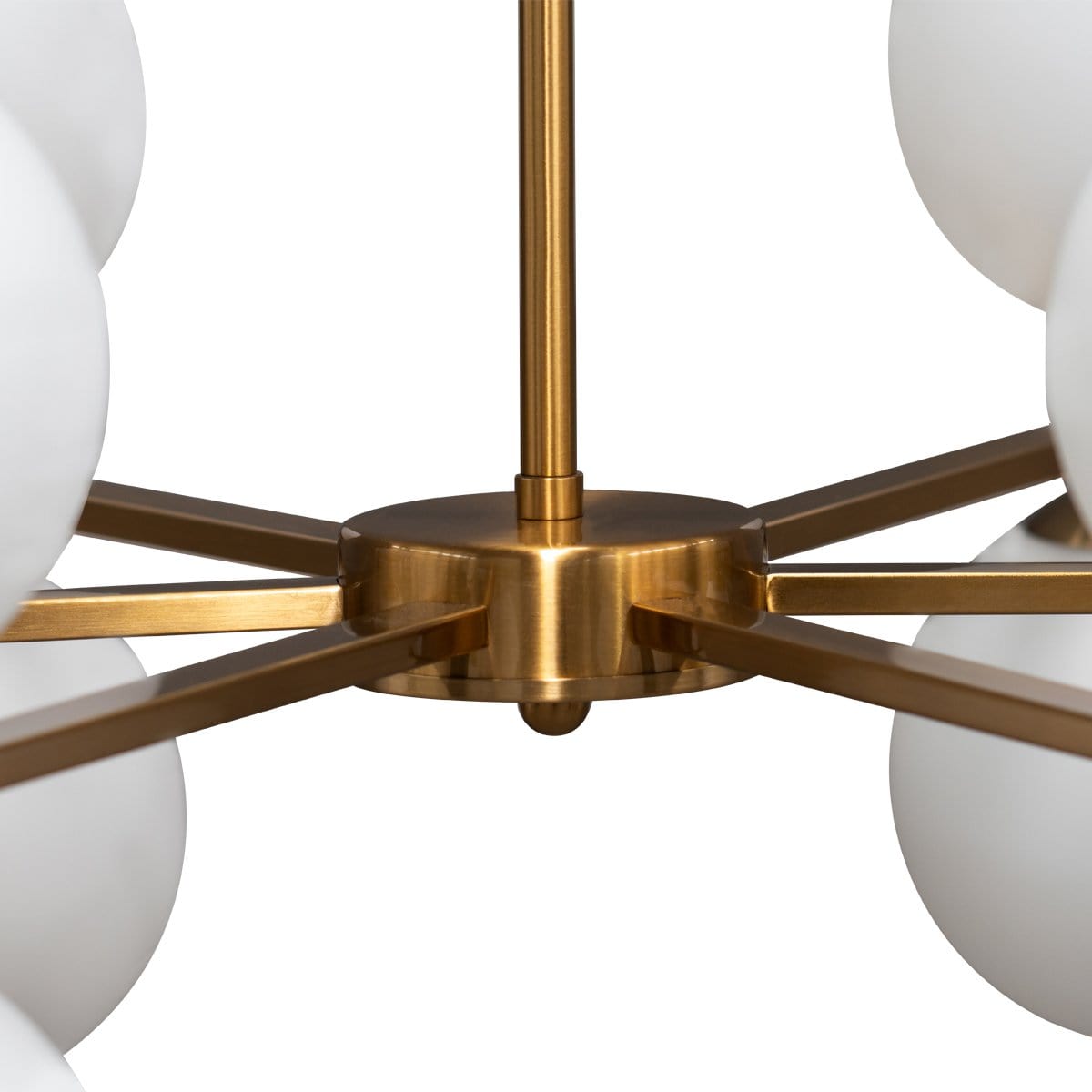 Green Earth Lighting Australia Home & Garden > Lighting Amora Brushed Brass 8 Light Pendant 20844