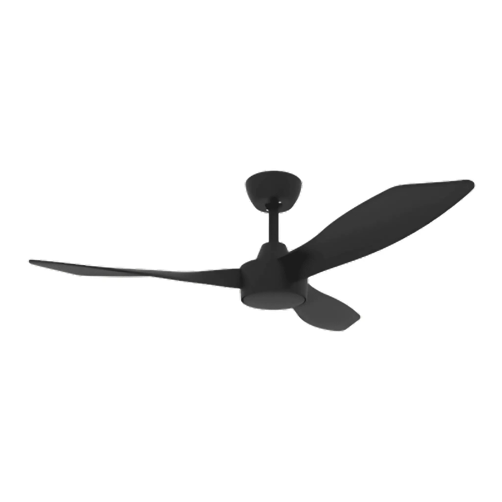 Domus Blast 48 inch DC ceiling fan with 3 black blades