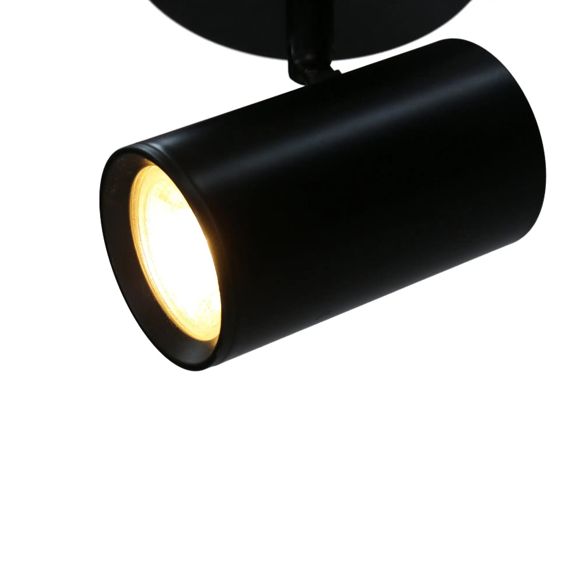 Brianna 1-light Spot Light Adjustable Ceiling Spotlight - Black