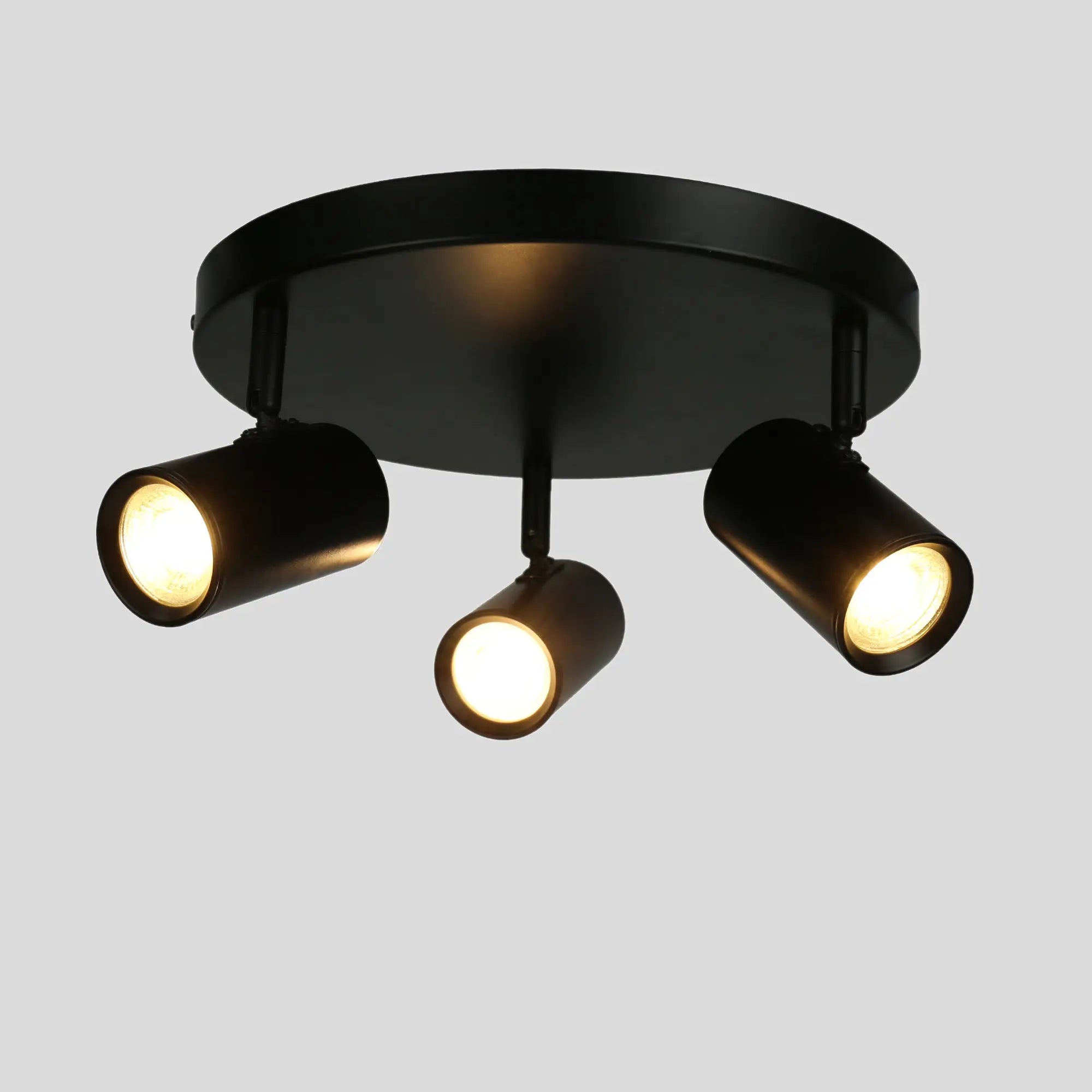 Brianna 3 Light Round Spot Light Matte White or Black Lexi Lighting - Black