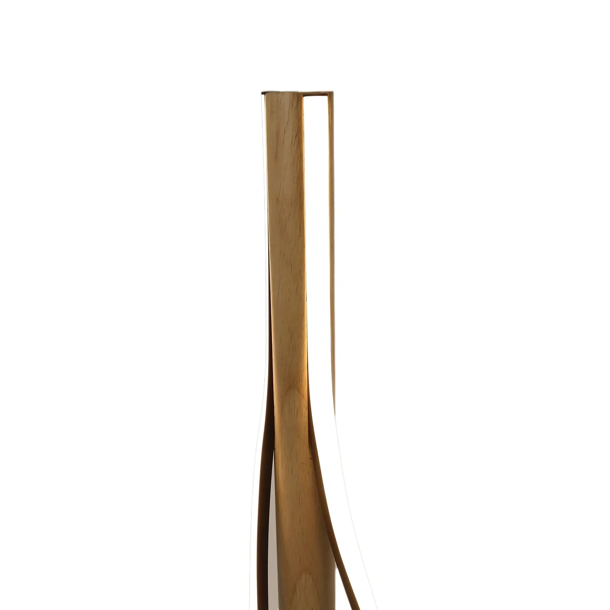 Bonnie Led Floor Lamp Lexi Lighting