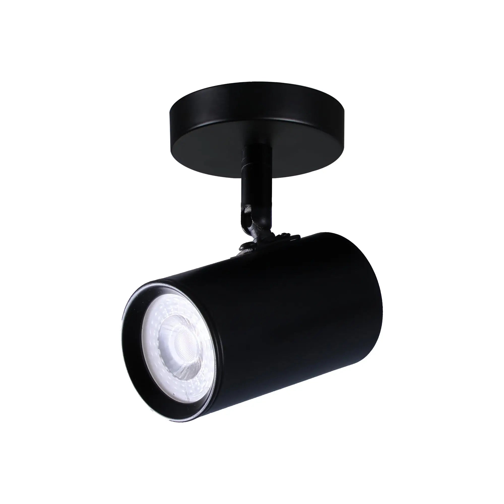 Brianna 1-light Spot Light Adjustable Ceiling Spotlight