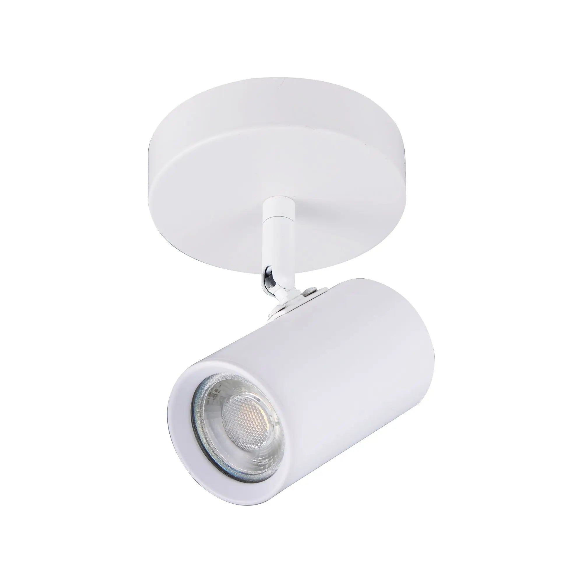 Brianna 1-light Spot Light Adjustable Ceiling Spotlight