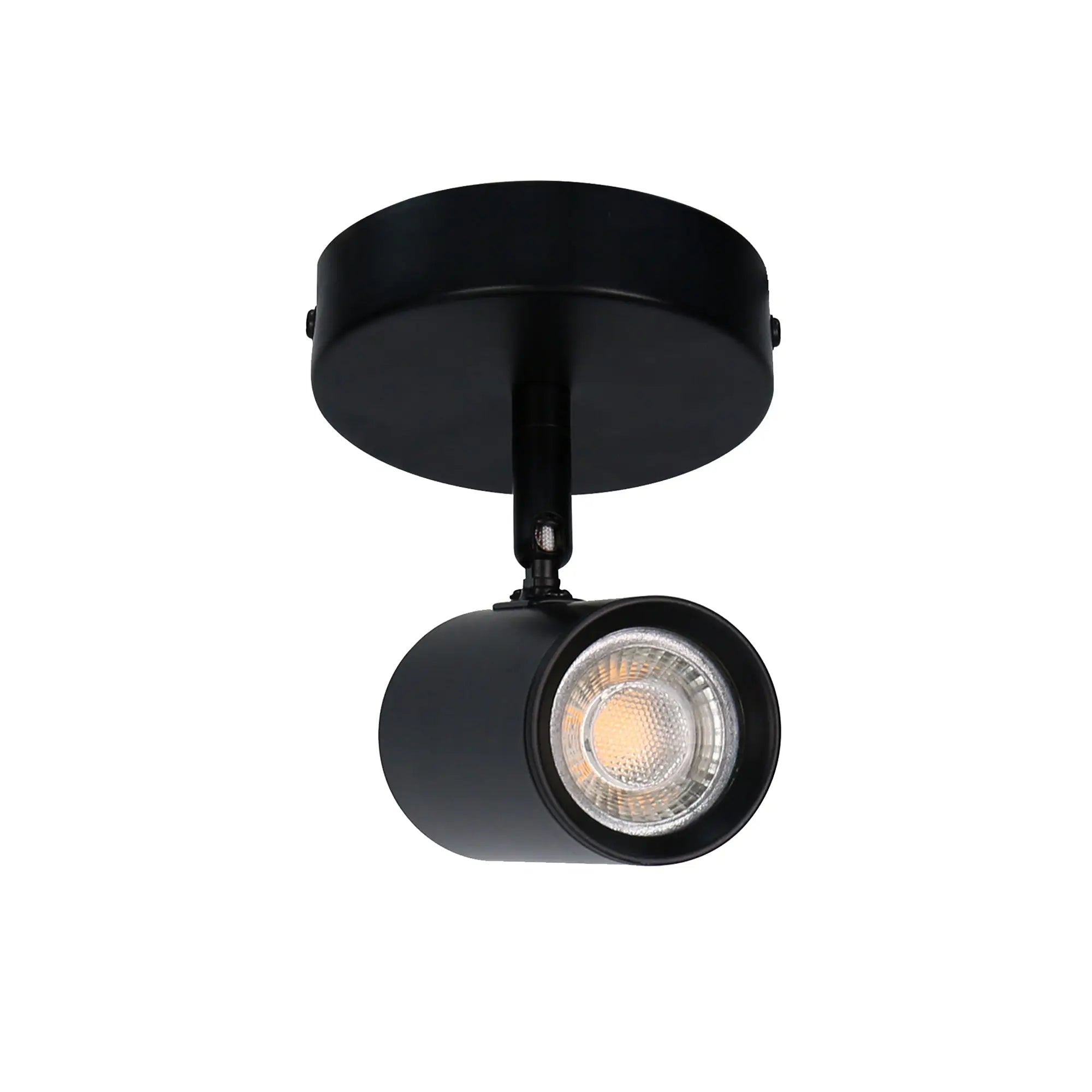 Brianna 1-light Spot Light Adjustable Ceiling Spotlight