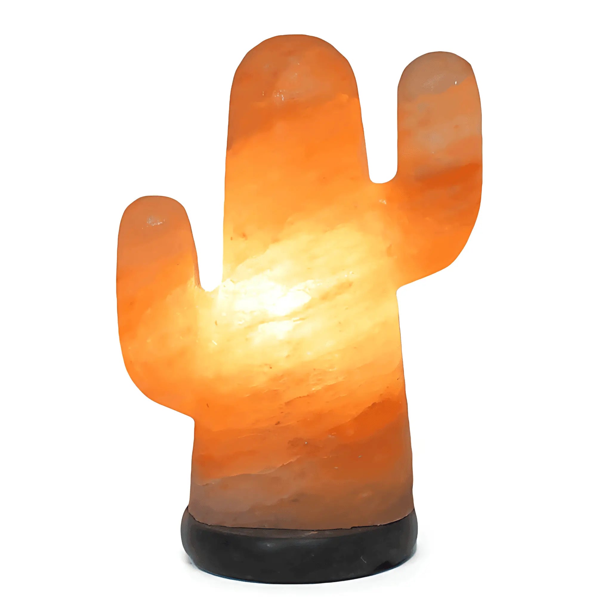 Cactus Salt Lamp (12v -12w) Green Earth Lighting