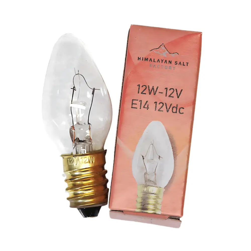 Green Earth Lighting Australia Home & Garden > Lighting > Night Lights & Ambient Lighting Cactus Salt Lamp (12V -12W) CACTUS