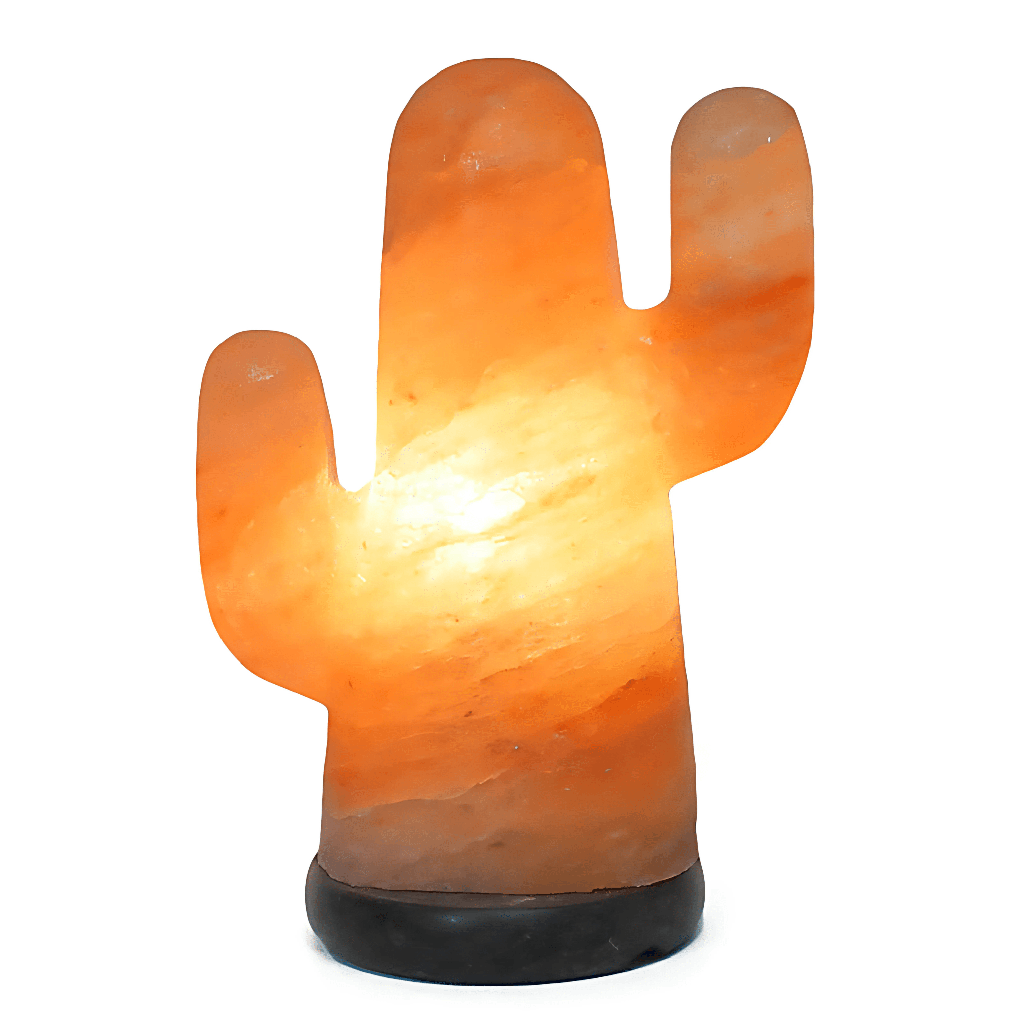 Green Earth Lighting Australia Home & Garden > Lighting > Night Lights & Ambient Lighting Cactus Salt Lamp (12V -12W) CACTUS