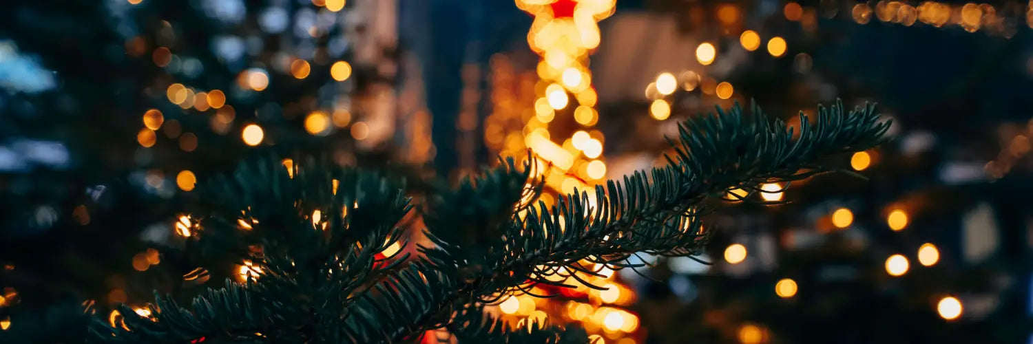 Christmas Fairy Lights