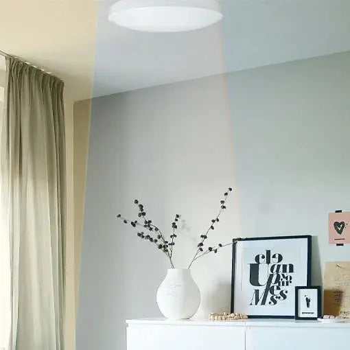 CLA Smart Oyster light fitting