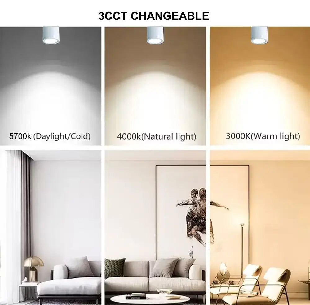 Dl2092/tc 20w Led Surface Mounted Downlight – Tri-colour Dimmable