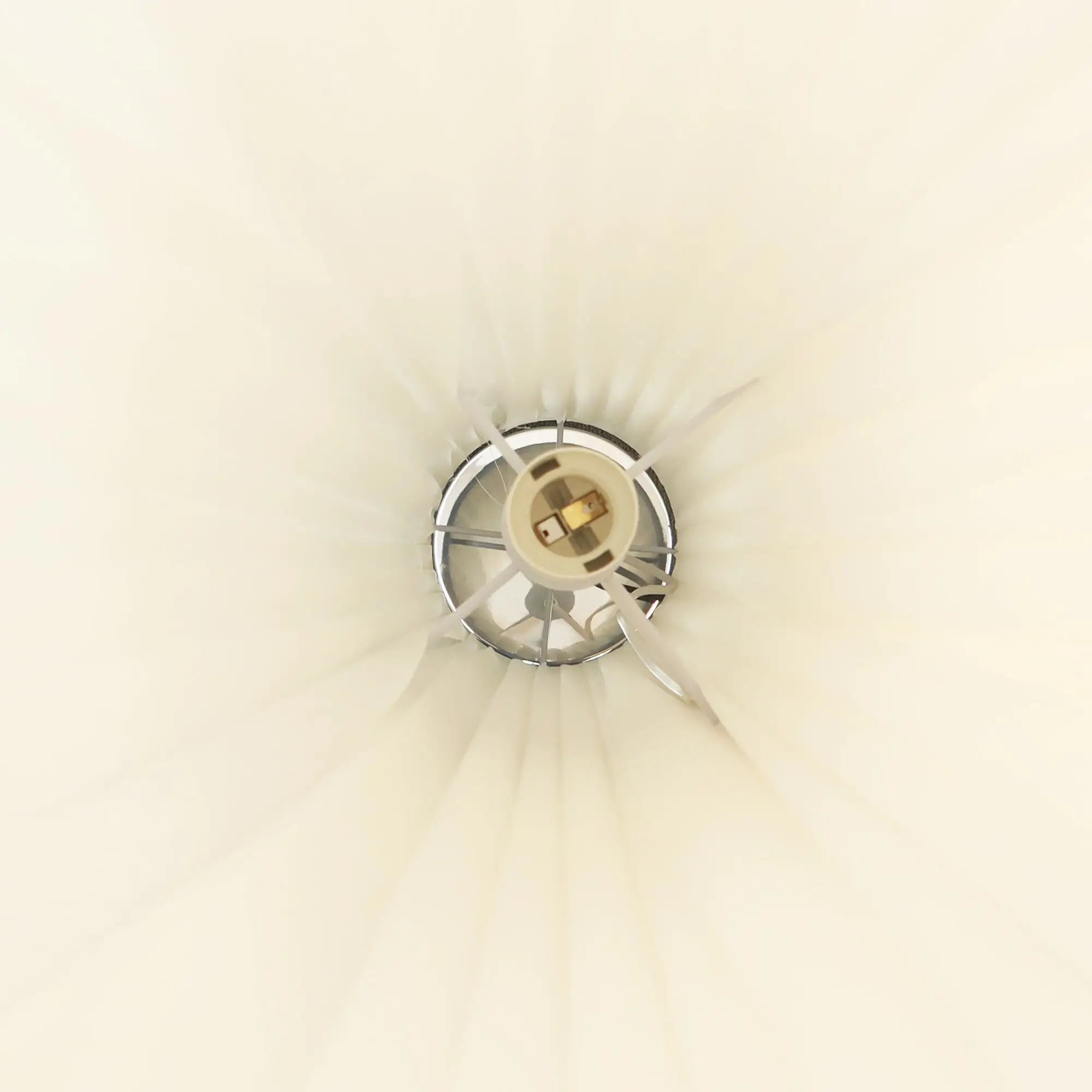 Eclara Floor Lamp Lexi Lighting