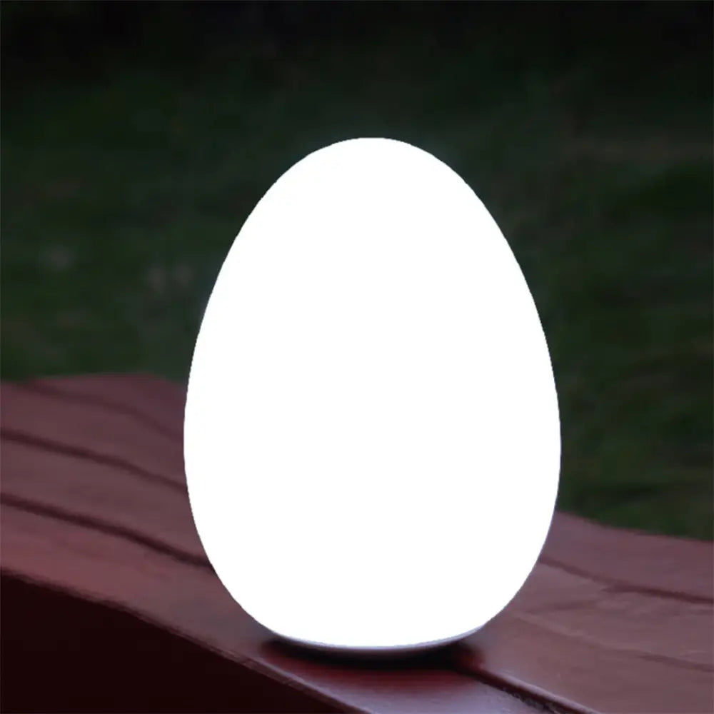 Lexi Lighting Table Lamp Egg Shape Colour Changing Wireless Indoor Outdoor Table Lamp LL0510