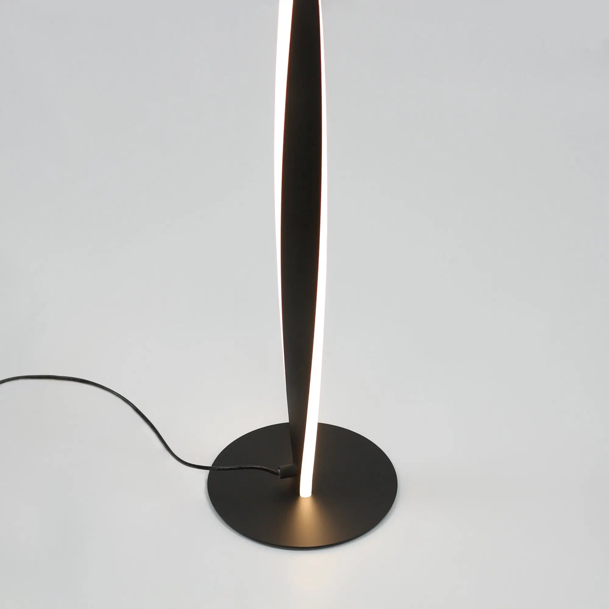 Enhalus Led Floor Lamp - Black Lexi Lighting