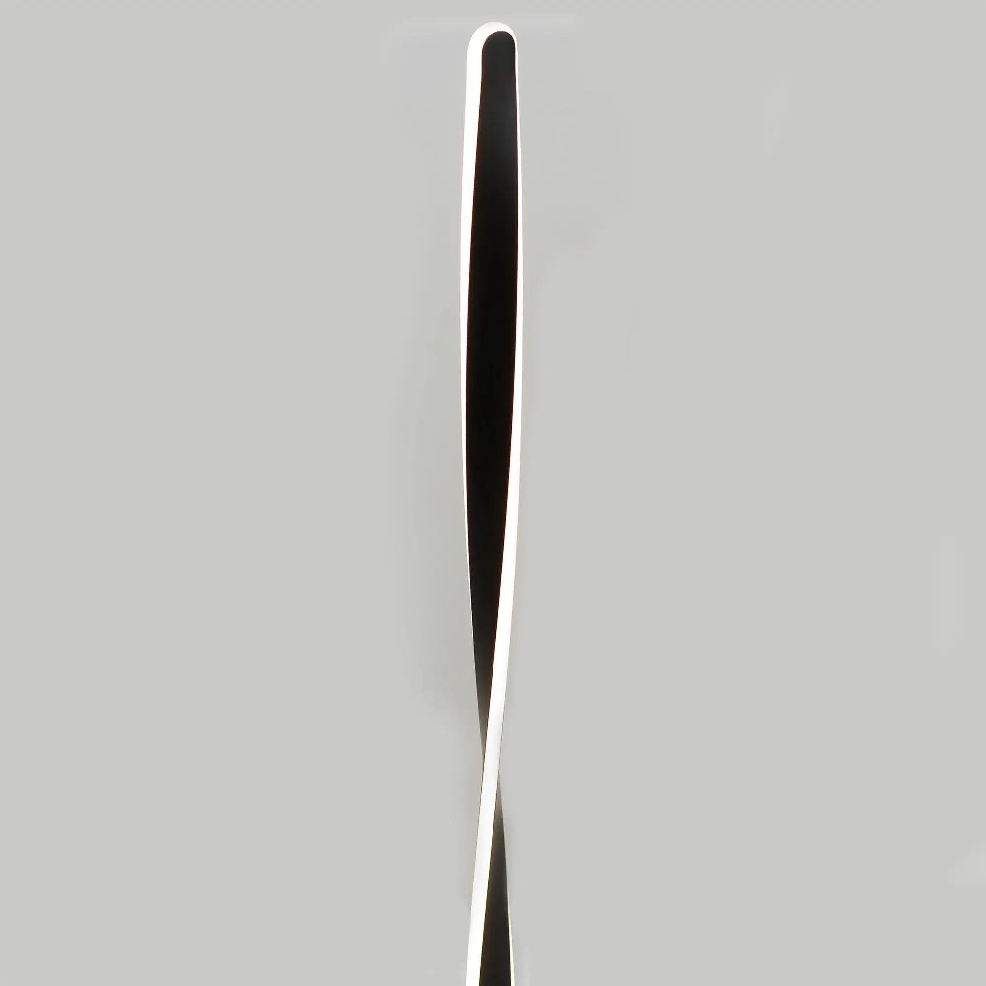 Enhalus Led Floor Lamp - Black Lexi Lighting