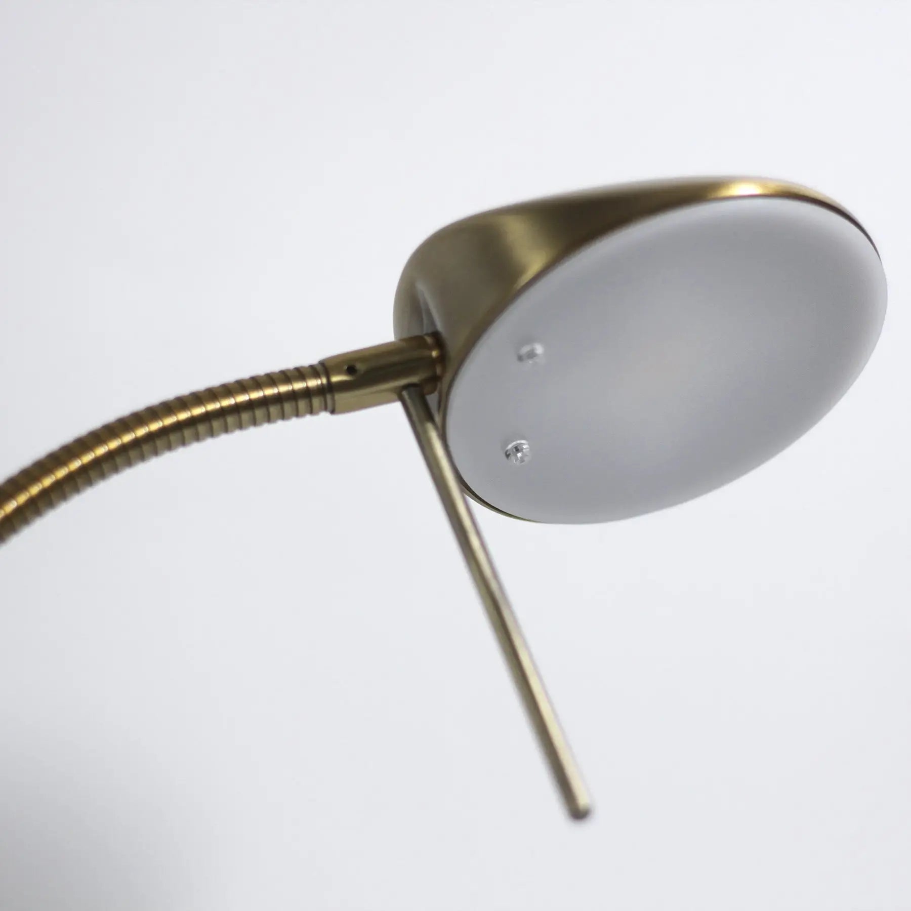 Jella Led Floor Lamp - Antique Brass Lexi Lighting