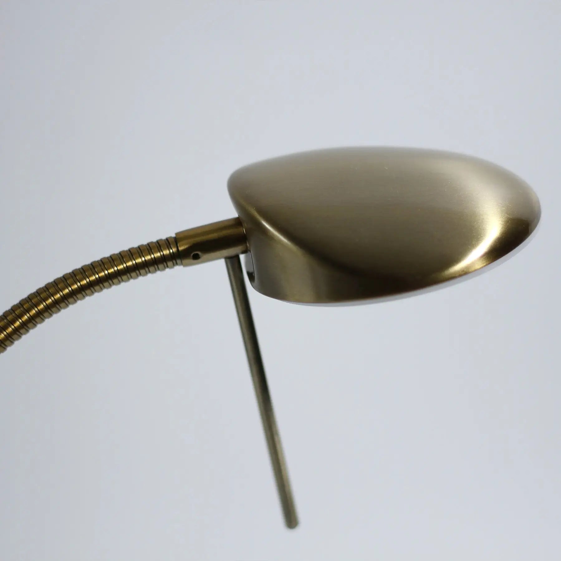 Jella Led Floor Lamp - Antique Brass Lexi Lighting