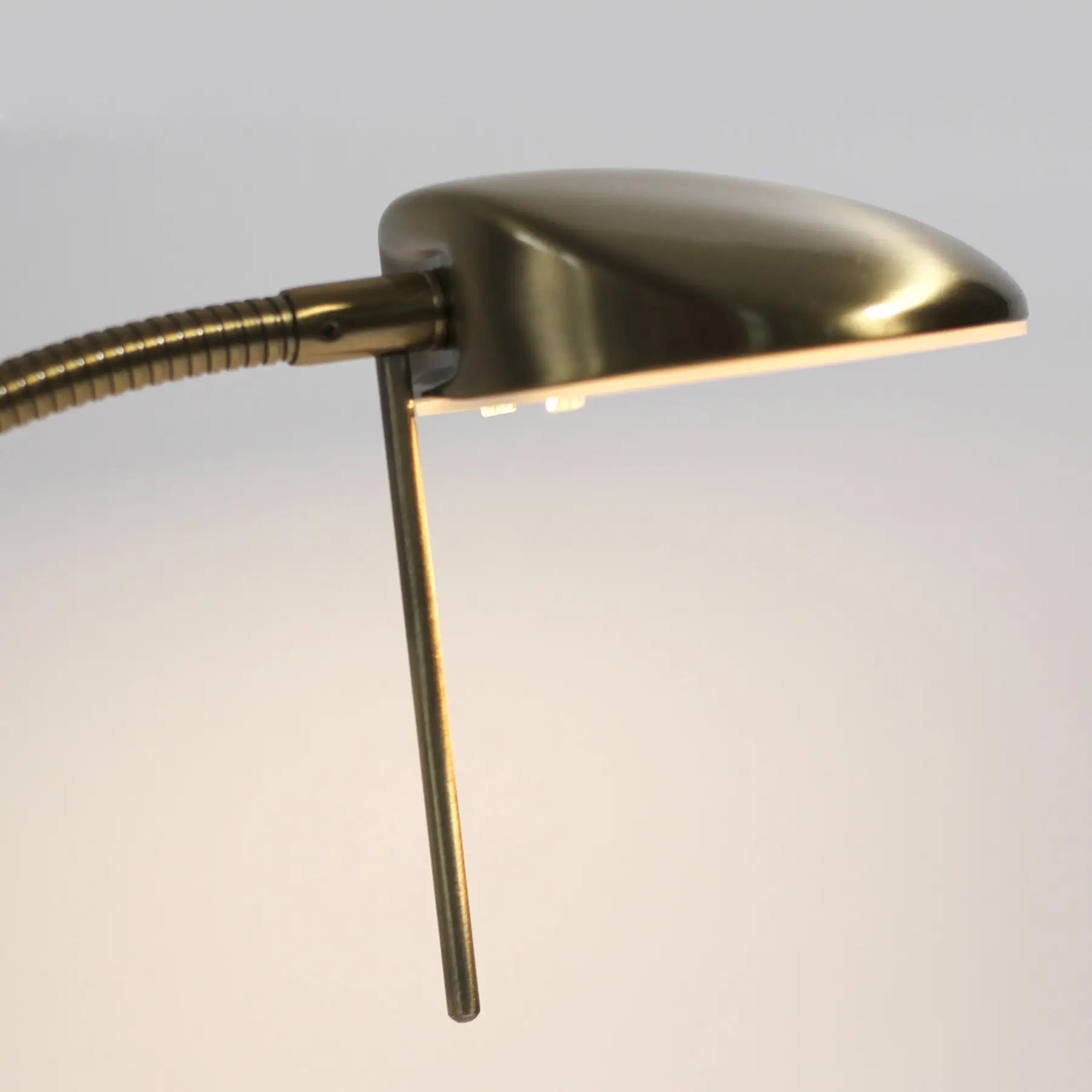 Jella Led Floor Lamp - Antique Brass Lexi Lighting