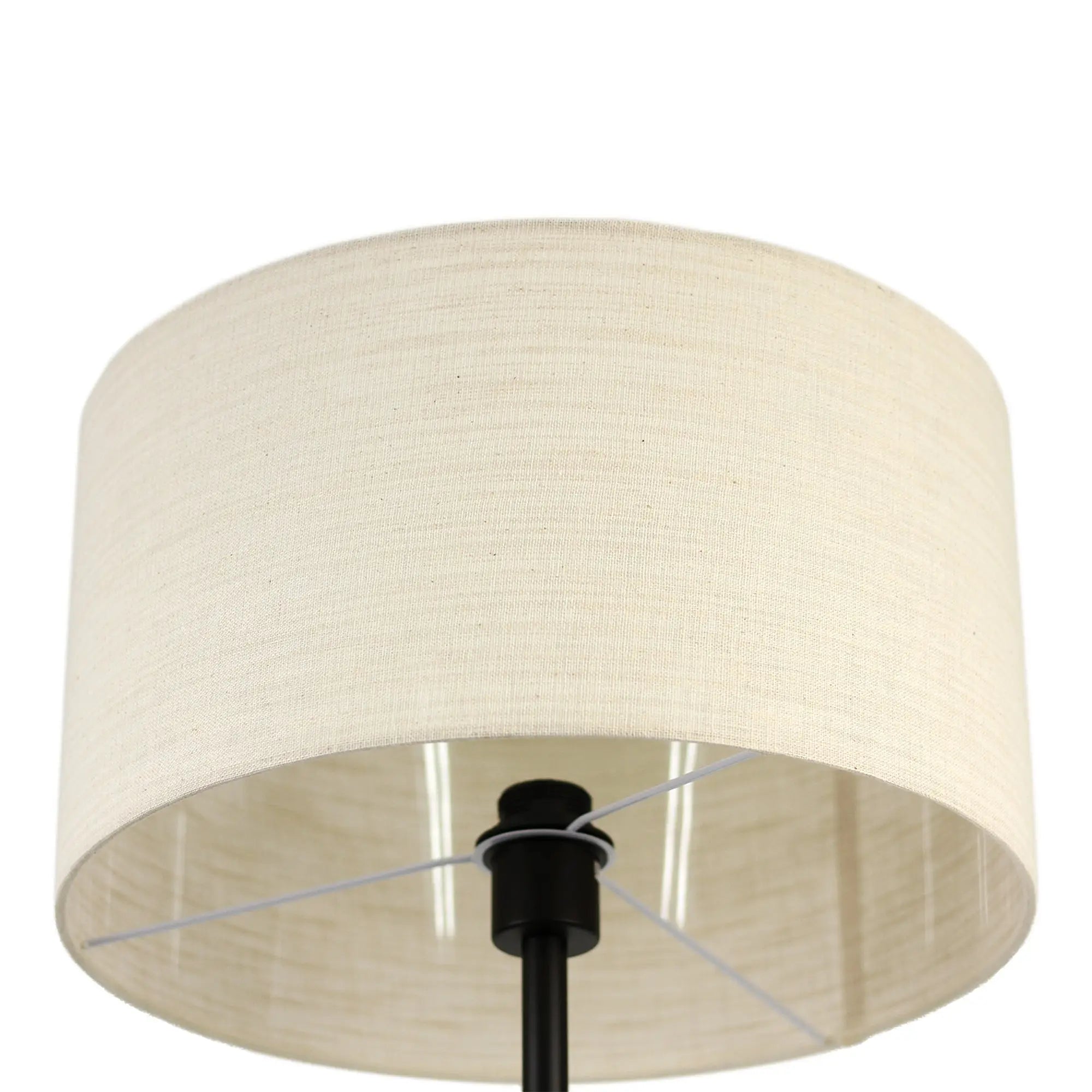 Linea Floor Lamp Lexi Lighting