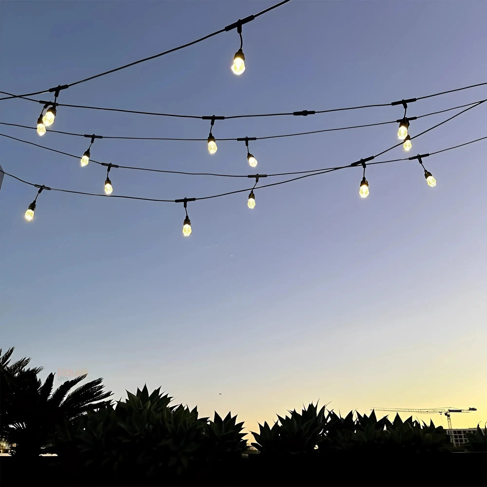 Liquid Leds Smart Rgbw Outdoor Festoon Lights App Voice Control