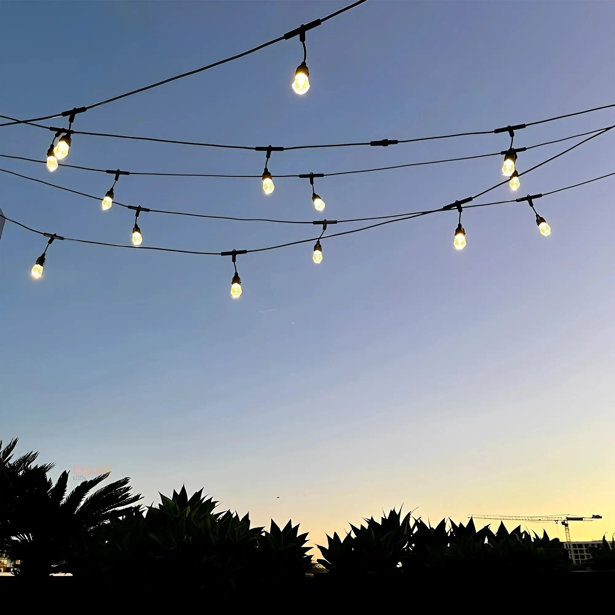Liquid Leds Smart Rgbw Outdoor Festoon Lights App Voice Control