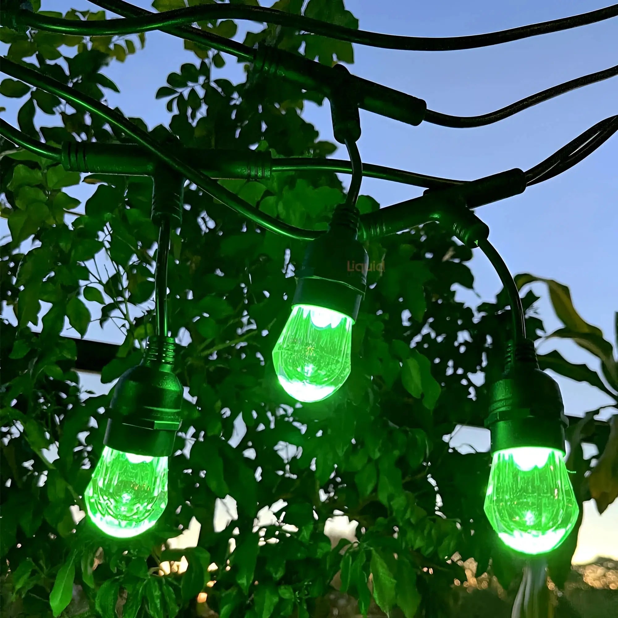Liquid Leds Smart Rgbw Outdoor Festoon Lights App Voice Control