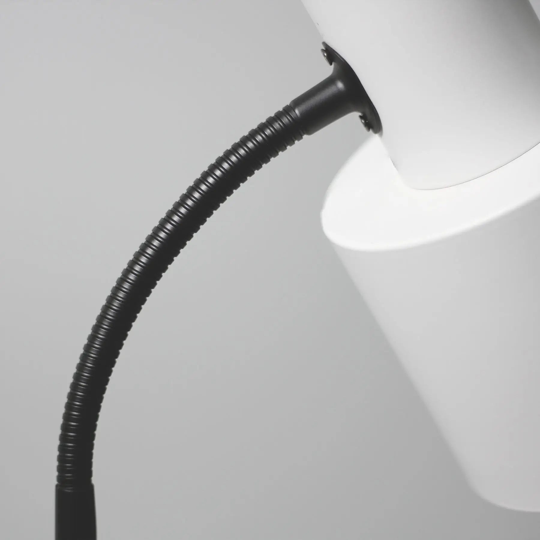 Rabea Floor Lamp Lexi Lighting