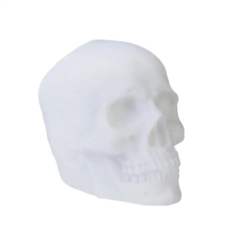MDI Neon light speaker Rainbow LED Skull with Bluetooth Speaker RS-LS/SK