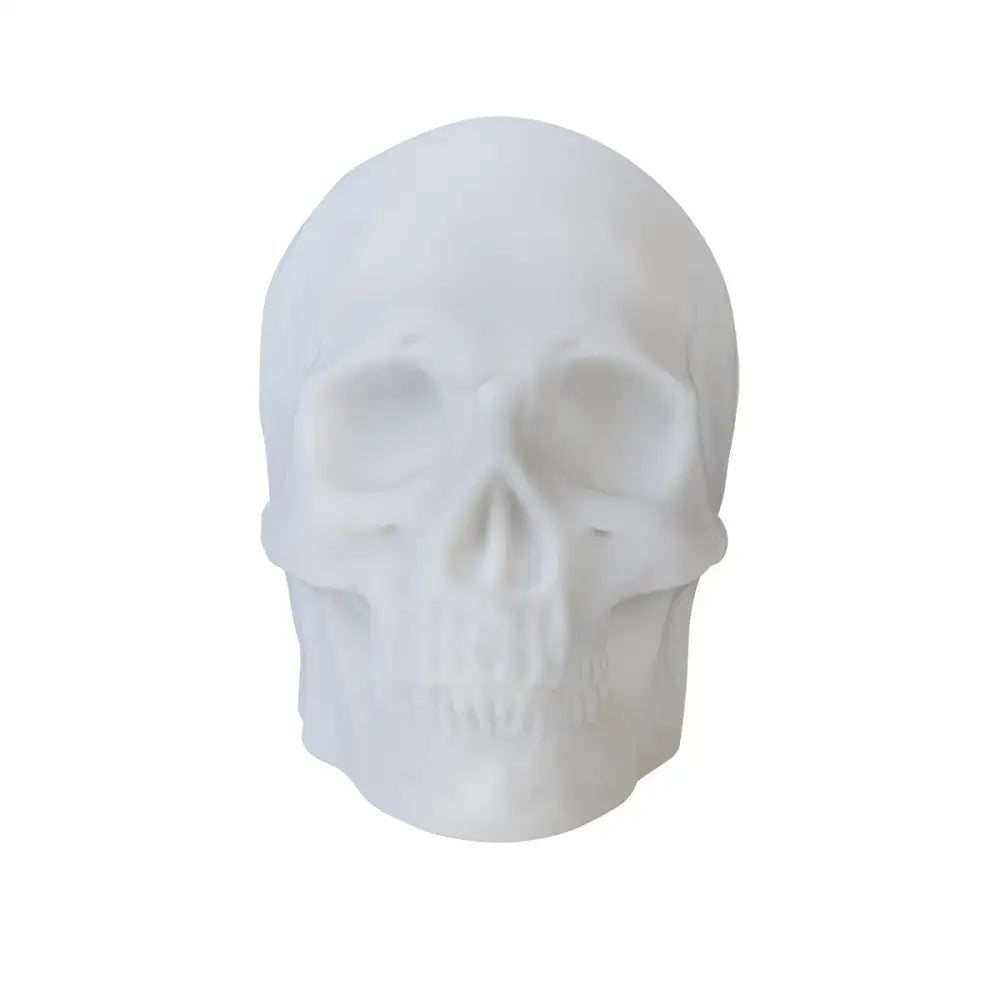 MDI Neon light speaker Rainbow LED Skull with Bluetooth Speaker RS-LS/SK