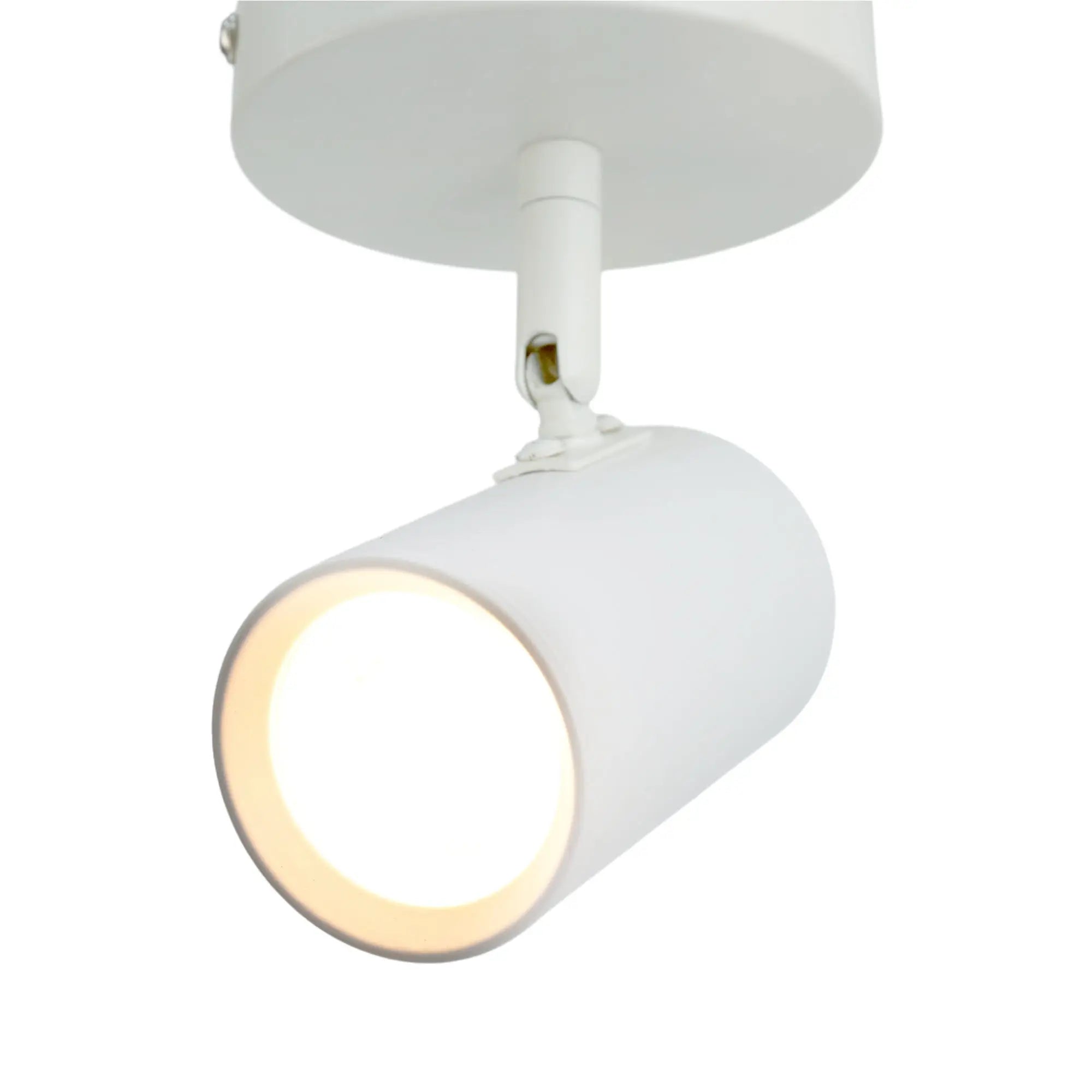 Brianna 1-light Spot Light Adjustable Ceiling Spotlight - White